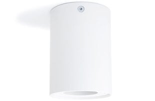 LED Busto S x1 - White - светодиодный накладной фиксированный галогенный светильник в алюминиевом корпусе цена и информация | Потолочные светильники | pigu.lt