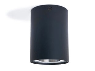LED Busto S x1, Черный/серебристый накладной галогенный светильник из алюминия цена и информация | Потолочные светильники | pigu.lt