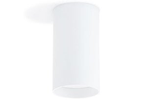 Светодиодный накладной галогенный светильник GIA, белый матовый цена и информация | Потолочные светильники | pigu.lt