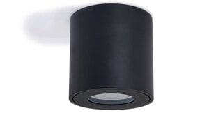 Фиксированный алюминиевый накладной галогенный светильник IP54 LED Cubo Aqua - Черный цена и информация | Потолочные светильники | pigu.lt