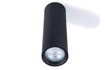 Brolux lubinis šviestuvas Karadon kaina ir informacija | Lubiniai šviestuvai | pigu.lt