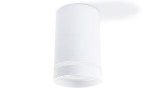 Накладной фиксированный круглый галогенный светильник LED Ring, черный цена и информация | Потолочные светильники | pigu.lt