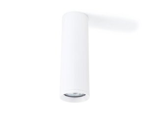 LED AGI L-NT - Постоянный накладной галогенный светильник из алюминия - Белый матовый цена и информация | Потолочные светильники | pigu.lt