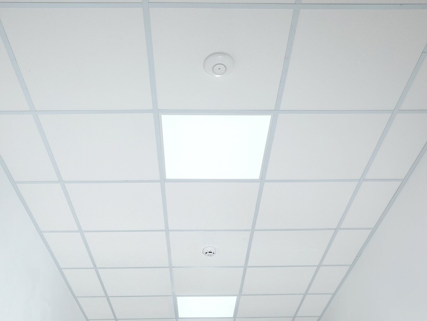 Eco-light LED panelė, 40 W, neutrali balta kaina ir informacija | Įmontuojami šviestuvai, LED panelės | pigu.lt