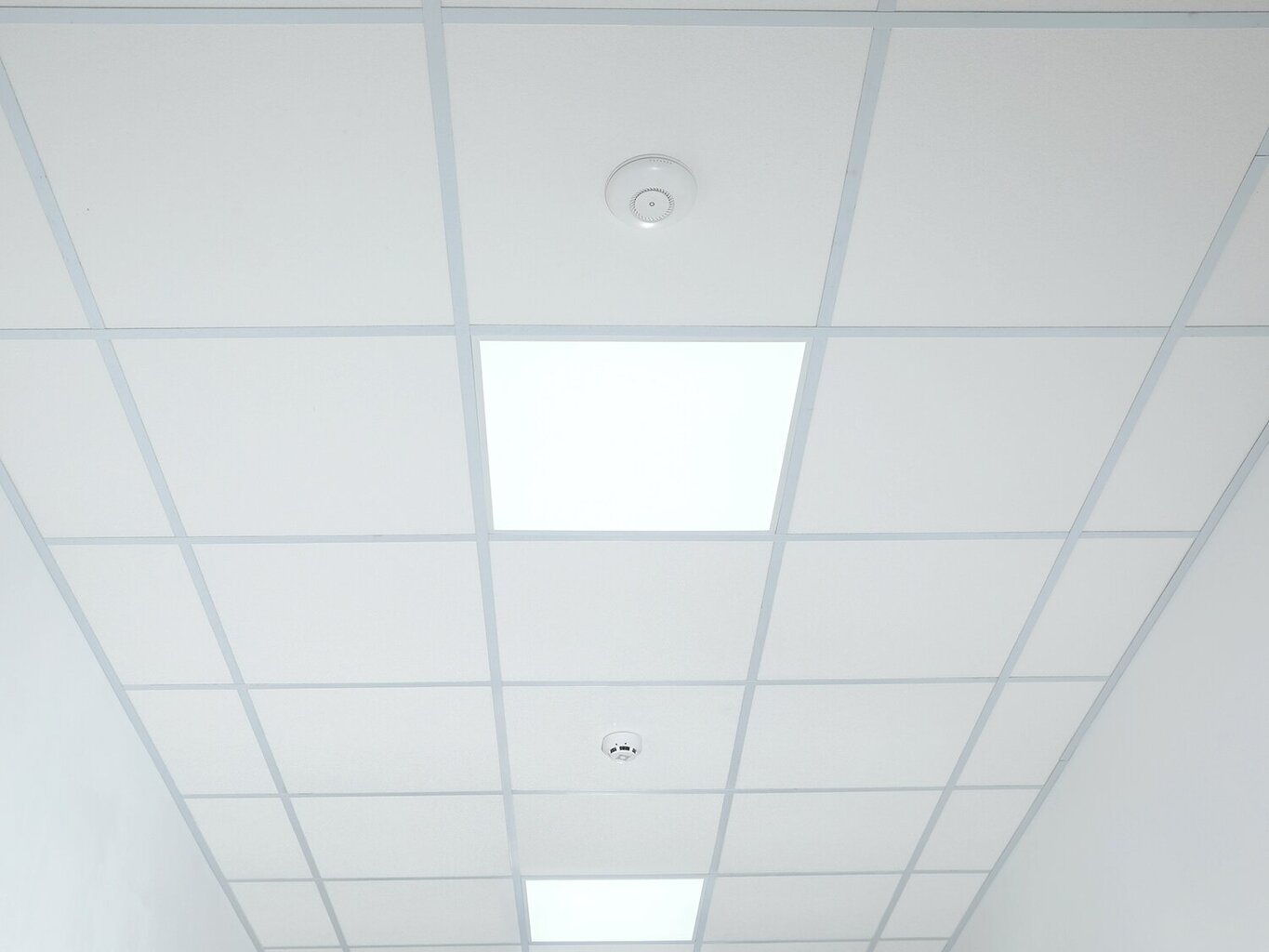 Eco-light LED panelė, 60W, šiltai balta цена и информация | Įmontuojami šviestuvai, LED panelės | pigu.lt