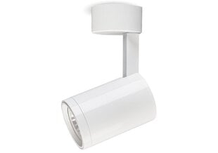 Накладной галогенный настенно-потолочный светильник LED Nuuk, белый цена и информация | Потолочные светильники | pigu.lt