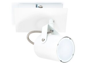 Светодиодный накладной галогенный настенно-потолочный светильник Arles x1, белый цена и информация | Потолочные светильники | pigu.lt