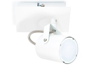 Светодиодный накладной галогенный настенно-потолочный светильник Arles x1, белый цена и информация | Потолочные светильники | pigu.lt