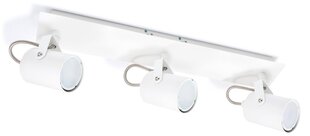 Накладной галогенный настенно-потолочный светильник LED Arles x3, белый цена и информация | Потолочные светильники | pigu.lt