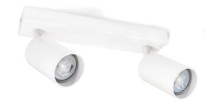 Накладной галогенный настенно-потолочный светильник LED Spoti x2, черный цена и информация | Потолочные светильники | pigu.lt