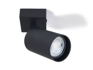 Накладной галогенный настенно-потолочный светильник LED Spoti x1, черный цена и информация | Потолочные светильники | pigu.lt