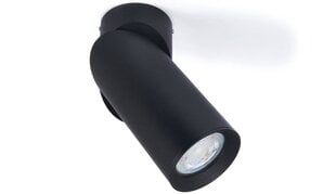 Настенно-потолочный галогенный светильник LED Rita x1 - Черный цена и информация | Потолочные светильники | pigu.lt
