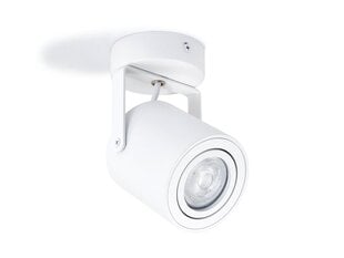 Накладной галогенный настенно-потолочный светильник LED Cubo Flex x1, белый цена и информация | Потолочные светильники | pigu.lt