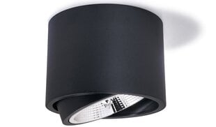 Накладной настенно-потолочный светодиодный светильник AR111 "Орбита" - белый цена и информация | Потолочные светильники | pigu.lt