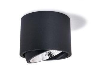 Накладной светодиодный настенно-потолочный светильник AR111 Orbit - черный матовый цена и информация | Потолочные светильники | pigu.lt