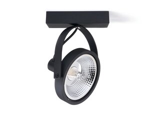 Накладной настенно-потолочный светильник LED Leon x1 AR111, черный матовый цена и информация | Потолочные светильники | pigu.lt