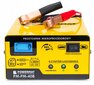 Mikroprocesorinis akumuliatoriaus įkroviklis Powermat PM-PM-40B, 6V/12V, LCD цена и информация | Akumuliatorių krovikliai | pigu.lt