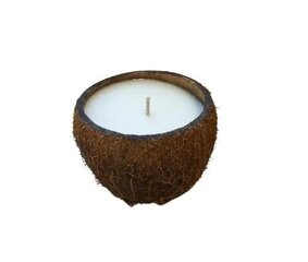 Žvakė Kokosas kokoso kevale, 1 vnt. цена и информация | Подсвечники, свечи | pigu.lt
