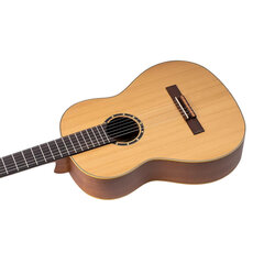 Классическая гитара Ortega R131 Family Series Pro (Natural) цена и информация | Гитары | pigu.lt