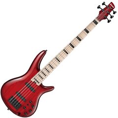 Бас-гитара Ibanez ANB205TWB Adam Nitti Signature (Transparent wine red burst) цена и информация | Гитары | pigu.lt