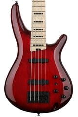 Бас-гитара Ibanez ANB205TWB Adam Nitti Signature (Transparent wine red burst) цена и информация | Гитары | pigu.lt