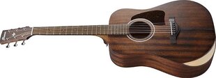 Акустическая гитара Ibanez AW54JR (open pore natural) цена и информация | Гитары | pigu.lt