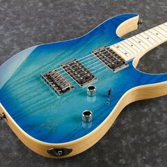 Электрогитара Ibanez RG421AHM-BMT (Blue moon burst) цена и информация | Гитары | pigu.lt