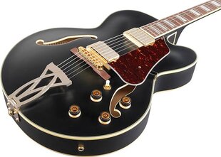 Elektrinė gitara Ibanez AF75G-BKF kaina ir informacija | Gitaros | pigu.lt