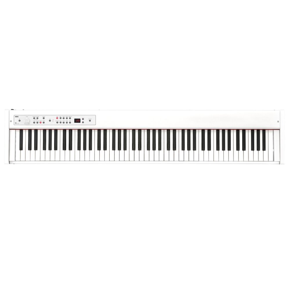 Pianinas Korg D1 WH цена и информация | Klavišiniai muzikos instrumentai | pigu.lt