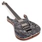 Elektrinė gitara Ibanez RG5320 CSW RG Prestige kaina ir informacija | Gitaros | pigu.lt