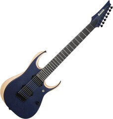 Elektrinė gitara Ibanez RGDR4427FX NTF Prestige kaina ir informacija | Gitaros | pigu.lt
