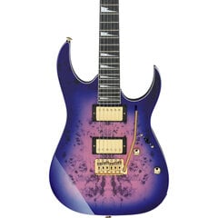Elektrinė gitara Ibanez GRG220PA-RLB kaina ir informacija | Gitaros | pigu.lt