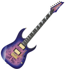 Электрогитара Ibanez GRG220PA-RLB (Royal purple burst) цена и информация | Гитары | pigu.lt