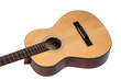 Klasikinė gitara Ortega RST5-3/4 Student Series kaina ir informacija | Gitaros | pigu.lt