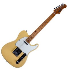 Elektrinė gitara Jet JT 300 BTS SS kaina ir informacija | Gitaros | pigu.lt