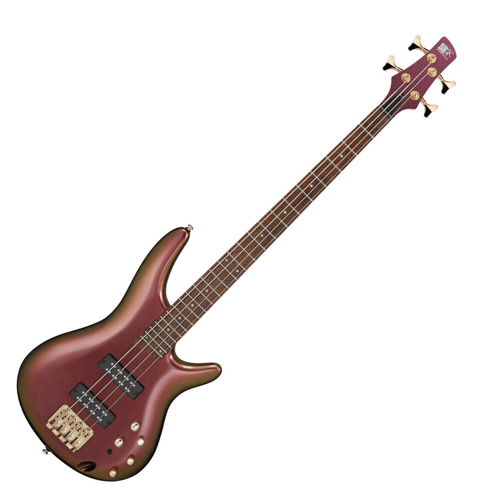 Bosinė gitara Ibanez SR300EDX-RGC цена и информация | Gitaros | pigu.lt