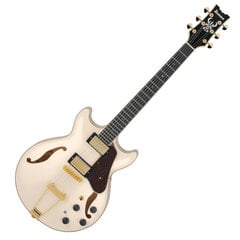 Elektrinė gitara Ibanez AMH90-IV Semi-hollow kaina ir informacija | Gitaros | pigu.lt