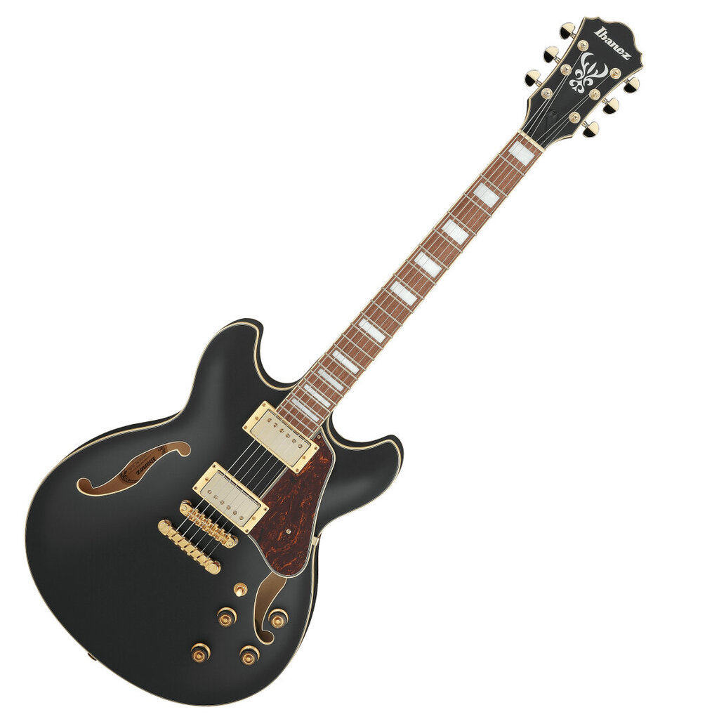 Elektrinė gitara Ibanez AS73G-BKF kaina ir informacija | Gitaros | pigu.lt