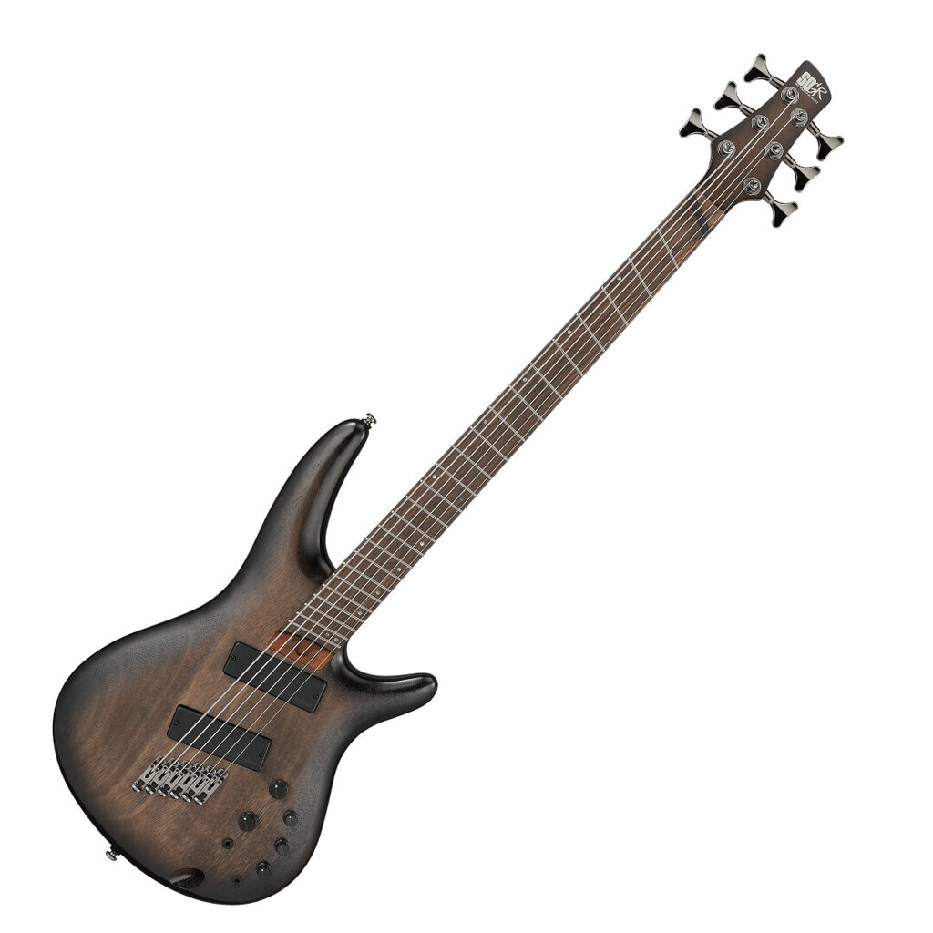 Bosinė gitara Ibanez SRC6MS-BLL kaina ir informacija | Gitaros | pigu.lt