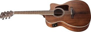 Электроакустическая гитара Ibanez AC340CE-OPN (Natural open pore) цена и информация | Гитары | pigu.lt
