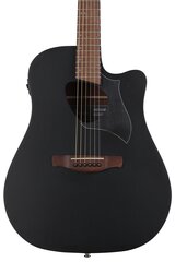 Elektro-akustinės gitara Ibanez ALT20-WK Altstar kaina ir informacija | Gitaros | pigu.lt