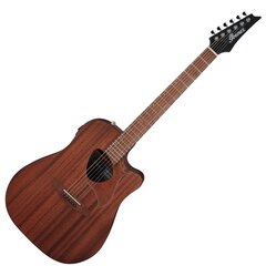 Электроакустическая гитара Ibanez ALT20-OPN Altstar   цена и информация | Гитары | pigu.lt