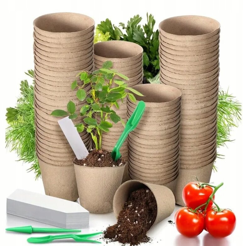 Biologiškai skaidūs vazonėliai sėklų daiginimui, 6 x 6 x 5.5 cm цена и информация | Vazonėliai daiginimui ir persodinimui | pigu.lt