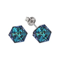 Серебряные серьги Рубикон II (Bermuda Blue) с кристаллами Swarovski™ DS02A867 цена и информация | Серьги | pigu.lt
