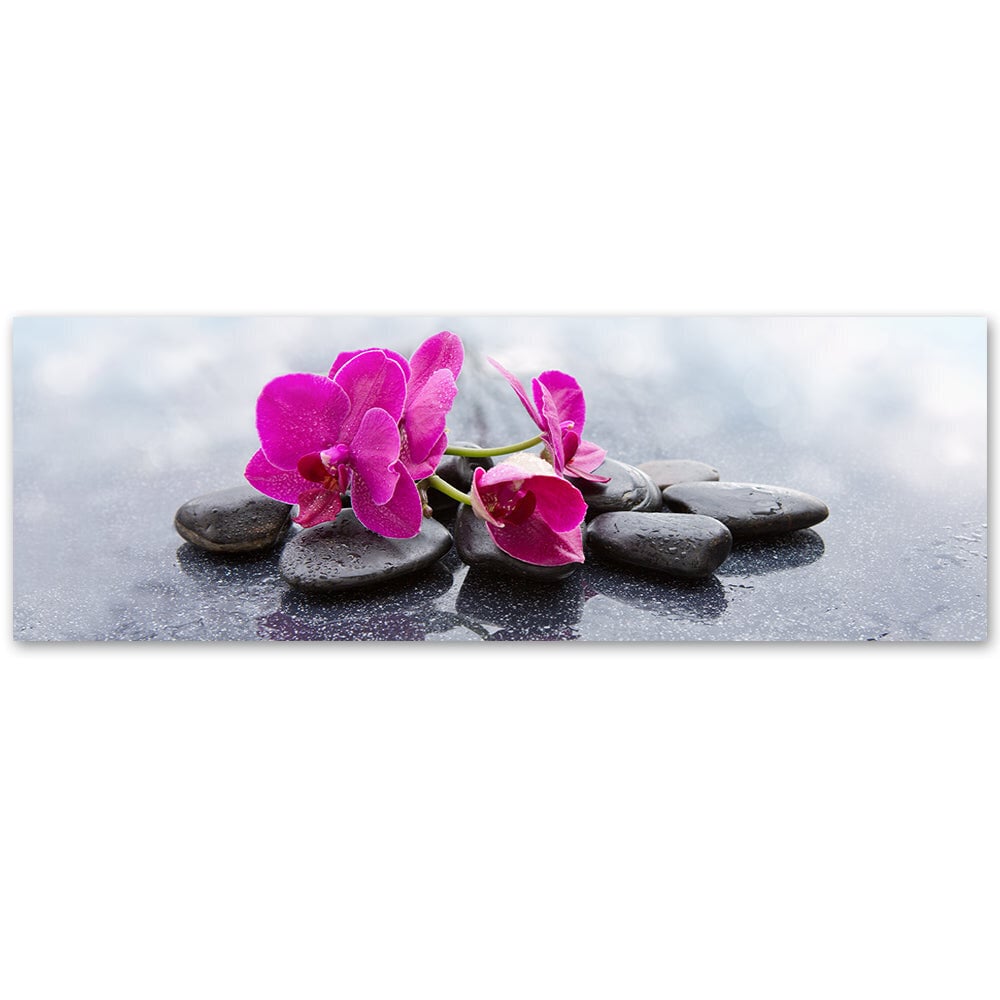 Paveikslas Orchidėja ir akmenys цена и информация | Reprodukcijos, paveikslai | pigu.lt