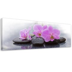 Paveikslas Orchidėjos ir akmenys kaina ir informacija | Reprodukcijos, paveikslai | pigu.lt
