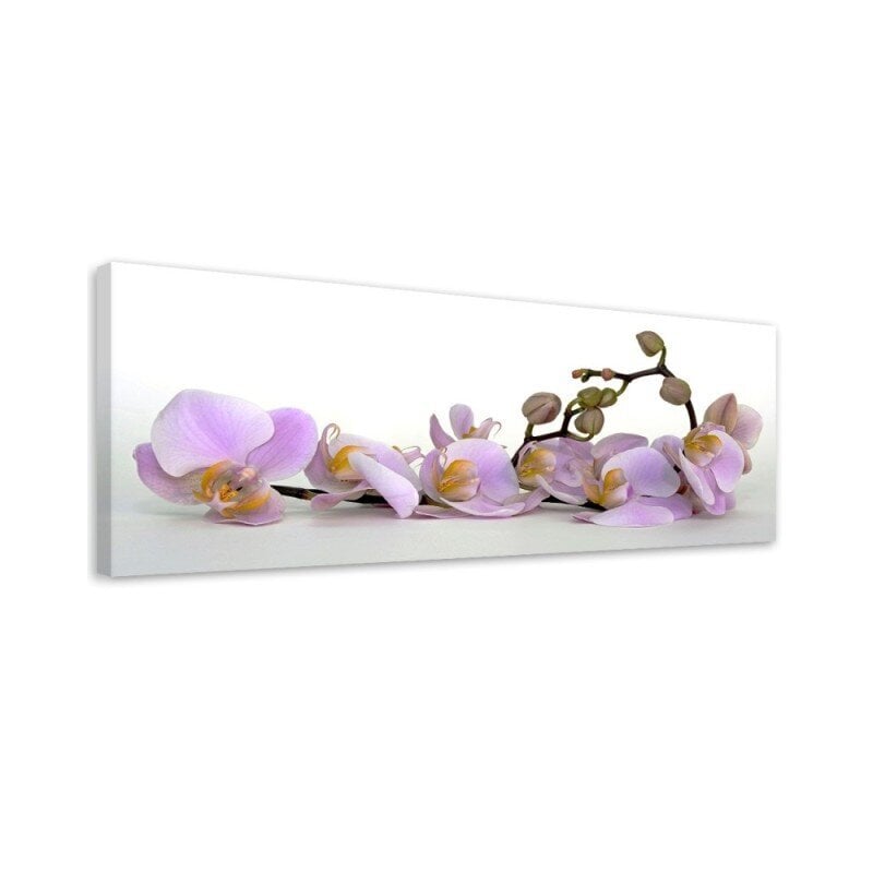 Paveikslas Orchidėjos kaina ir informacija | Reprodukcijos, paveikslai | pigu.lt