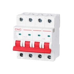 DC Miniature Circuit Breaker, 4P, 63A, Cat.A, 1000VDC, 6kA цена и информация | Выключатели, розетки | pigu.lt