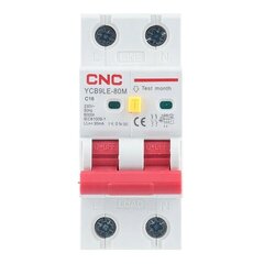 Residual Current Breaker with Over-Current 2P, 16A, class C, 30mA, 6kA цена и информация | Выключатели, розетки | pigu.lt