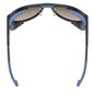 Slidinėjimo akiniai Uvex, mėlyni цена и информация | Slidinėjimo akiniai | pigu.lt
